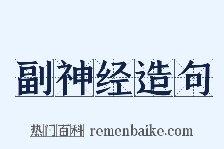 副神经造句是什么意思的图片
